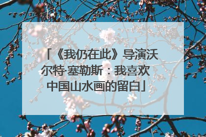 《我仍在此》导演沃尔特·塞勒斯：我喜欢中国山水画的留白