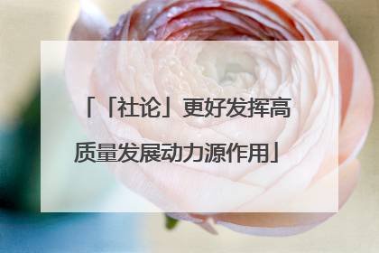 「社论」更好发挥高质量发展动力源作用