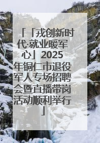 「戎创新时代·就业暖军心」2025年铜仁市退役军人专场招聘会暨直播带岗活动顺利举行