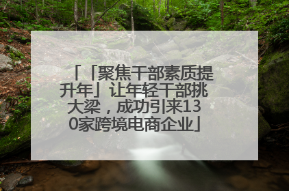 「聚焦干部素质提升年」让年轻干部挑大梁，成功引来130家跨境电商企业