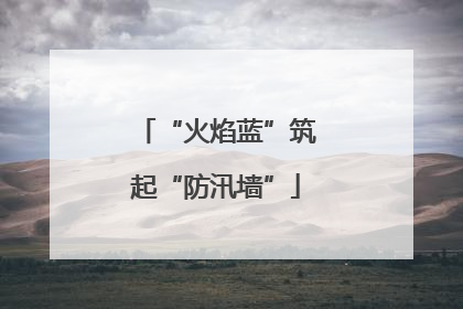 “火焰蓝”筑起“防汛墙”