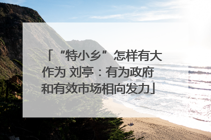 “特小乡”怎样有大作为 刘亭：有为政府和有效市场相向发力