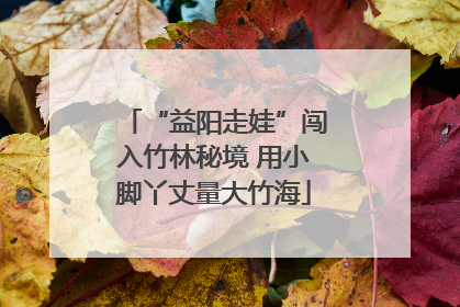 “益阳走娃”闯入竹林秘境 用小脚丫丈量大竹海
