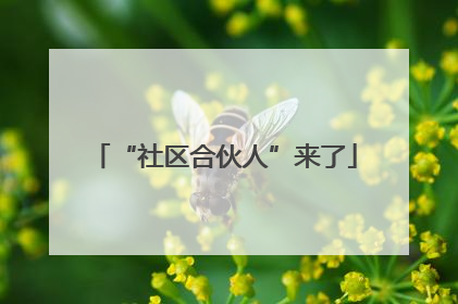 “社区合伙人”来了