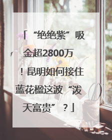 “绝绝紫”吸金超2800万！昆明如何接住蓝花楹这波“泼天富贵”？