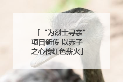“为烈士寻亲”项目新传 以赤子之心传红色薪火