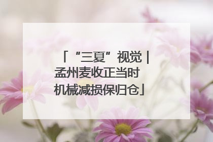 “三夏”视觉｜孟州麦收正当时 机械减损保归仓