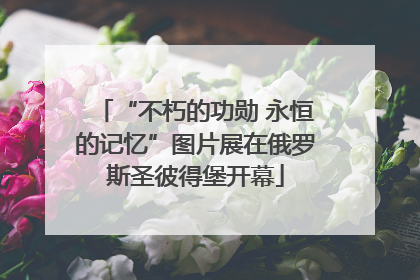 “不朽的功勋 永恒的记忆”图片展在俄罗斯圣彼得堡开幕