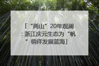 “两山”20年观澜：浙江庆元生态为“帆”徜徉发展蓝海