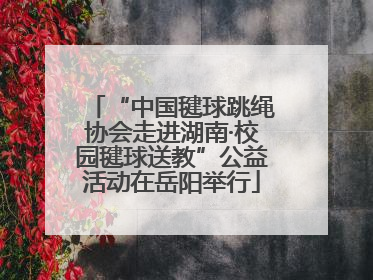 “中国毽球跳绳协会走进湖南·校园毽球送教”公益活动在岳阳举行