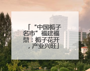 “中国栀子名市”福建福鼎：栀子花开，产业兴旺