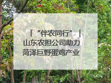 “伴农同行”｜山东农担公司助力菏泽巨野蛋鸡产业高质量发展