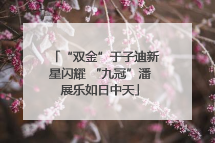 “双金”于子迪新星闪耀 “九冠”潘展乐如日中天
