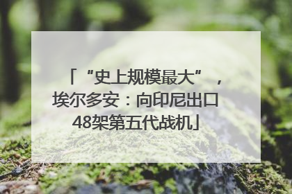 “史上规模最大”，埃尔多安：向印尼出口48架第五代战机
