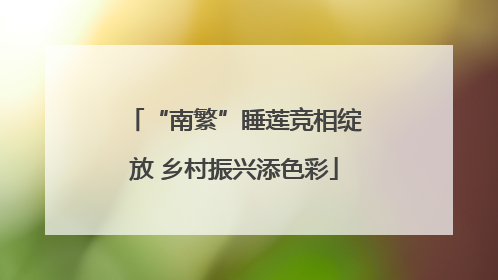“南繁”睡莲竞相绽放 乡村振兴添色彩