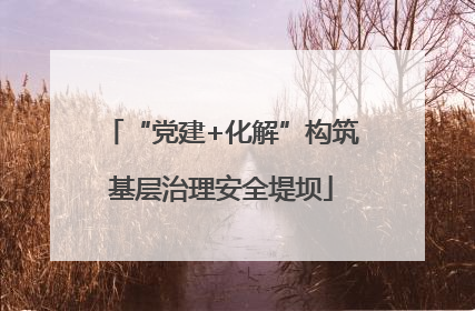 “党建+化解”构筑基层治理安全堤坝
