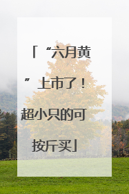 “六月黄”上市了！超小只的可按斤买