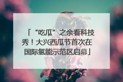 “吃瓜”之余看科技秀！大兴西瓜节首次在国际氢能示范区启幕