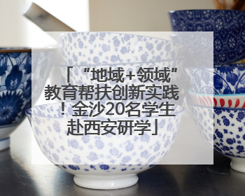 “地域+领域”教育帮扶创新实践！金沙20名学生赴西安研学