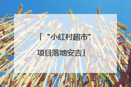 “小红村超市”项目落地安吉