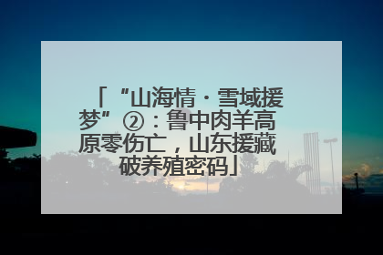 “山海情・雪域援梦”②：鲁中肉羊高原零伤亡，山东援藏破养殖密码