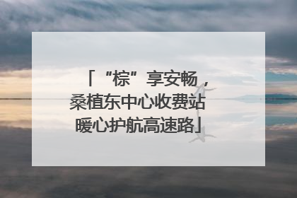 “棕”享安畅，桑植东中心收费站暖心护航高速路