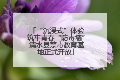 “沉浸式”体验 筑牢青春“防毒墙” 清水县禁毒教育基地正式开放