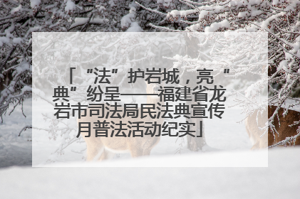 “法”护岩城，亮“典”纷呈——福建省龙岩市司法局民法典宣传月普法活动纪实