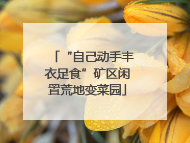 “自己动手丰衣足食”矿区闲置荒地变菜园