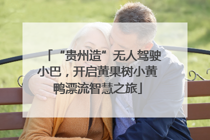 “贵州造”无人驾驶小巴，开启黄果树小黄鸭漂流智慧之旅