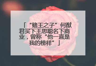 “赌王之子”何猷君买下王思聪名下商业，曾称“他一直是我的榜样”