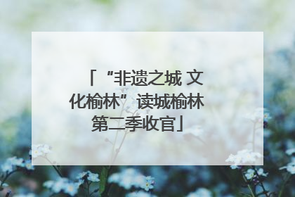 “非遗之城 文化榆林”读城榆林第二季收官