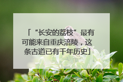 “长安的荔枝”最有可能来自重庆涪陵，这条古道已有千年历史