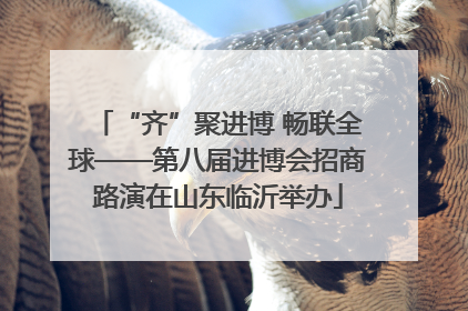 “齐”聚进博 畅联全球——第八届进博会招商路演在山东临沂举办