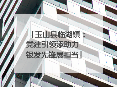 玉山县临湖镇：党建引领添助力 银发先锋展担当