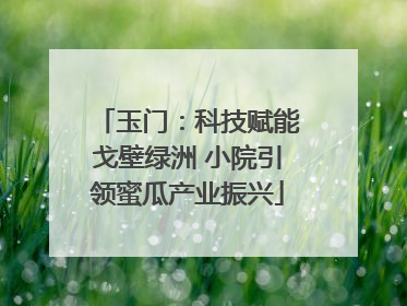 玉门：科技赋能戈壁绿洲 小院引领蜜瓜产业振兴