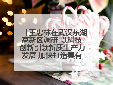 王忠林在武汉东湖高新区调研 以科技创新引领新质生产力发展 加快打造具有全国影响力的科技创新高地