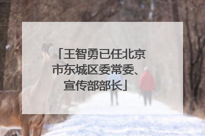 王智勇已任北京市东城区委常委、宣传部部长