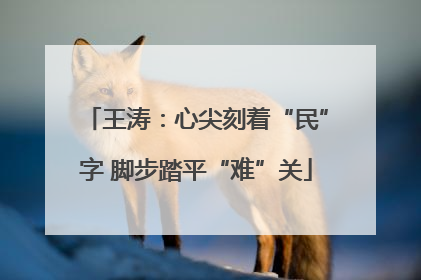 王涛：心尖刻着“民”字 脚步踏平“难”关