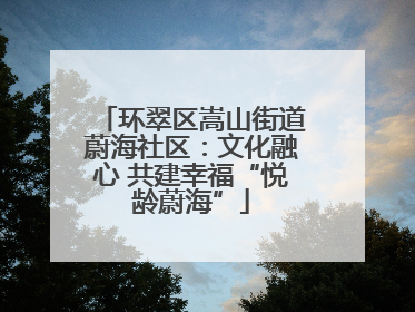 环翠区嵩山街道蔚海社区：文化融心 共建幸福“悦龄蔚海”