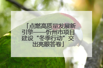 点燃高质量发展新引擎——忻州市项目建设“冬季行动”交出亮眼答卷