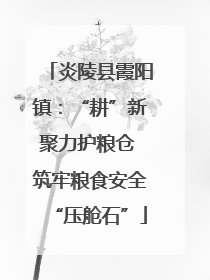 炎陵县霞阳镇：“耕”新聚力护粮仓 筑牢粮食安全“压舱石”