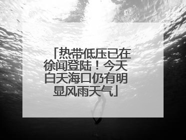 热带低压已在徐闻登陆！今天白天海口仍有明显风雨天气