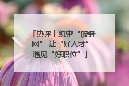 热评丨织密“服务网” 让“好人才”遇见“好职位”