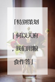 特别策划｜何以天府，我们用粮食作答