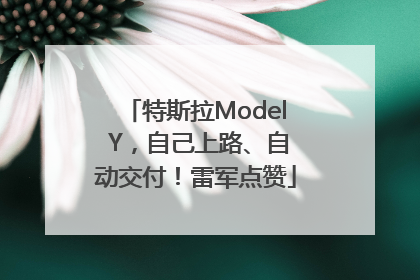 特斯拉Model Y，自己上路、自动交付！雷军点赞