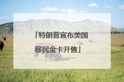 特朗普宣布美国移民金卡开售