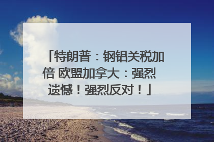 特朗普：钢铝关税加倍 欧盟加拿大：强烈遗憾！强烈反对！