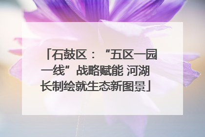 石鼓区：“五区一园一线”战略赋能 河湖长制绘就生态新图景