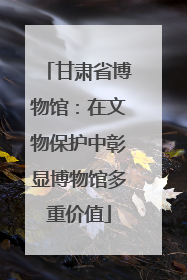 甘肃省博物馆：在文物保护中彰显博物馆多重价值